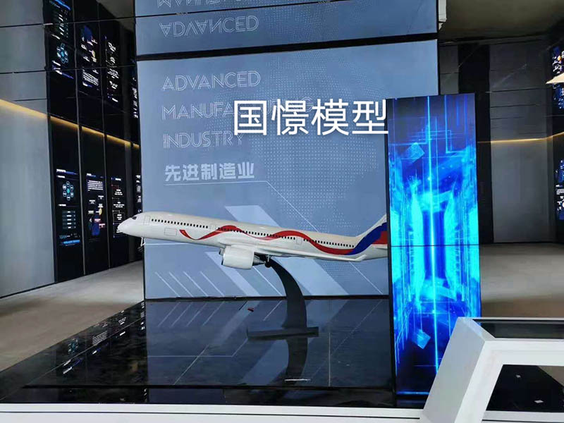 柳林县飞机模型